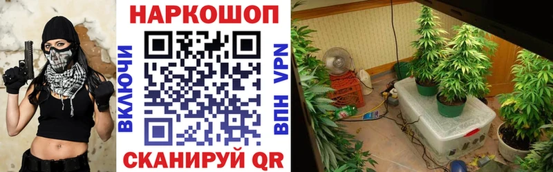 Хочу наркоту Приморск Кокаин  A PVP  Бошки Шишки  МЕТАДОН  ГАШ 