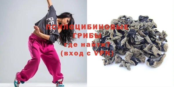 МДПВ Алзамай