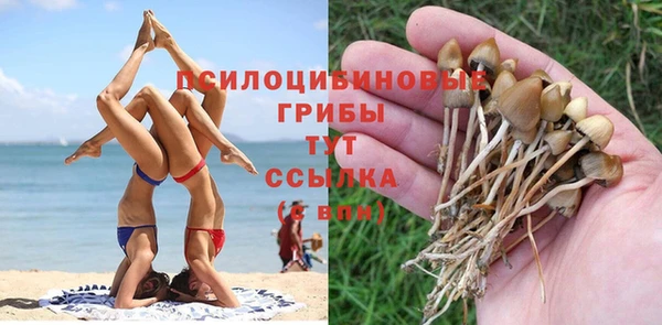 меф Алексин