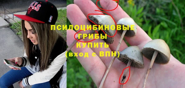 МДПВ Алзамай