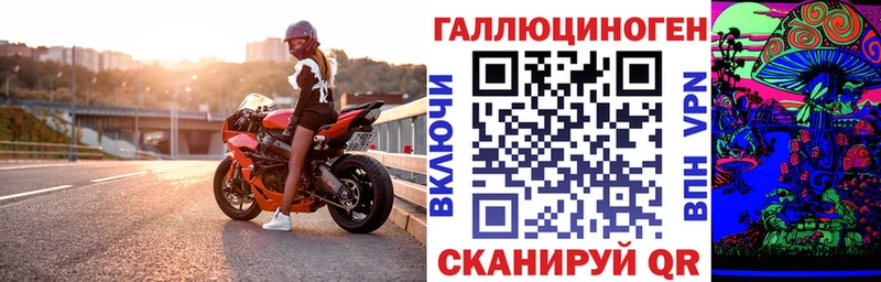 Псилоцибиновые грибы Psilocybine cubensis  Приморск 