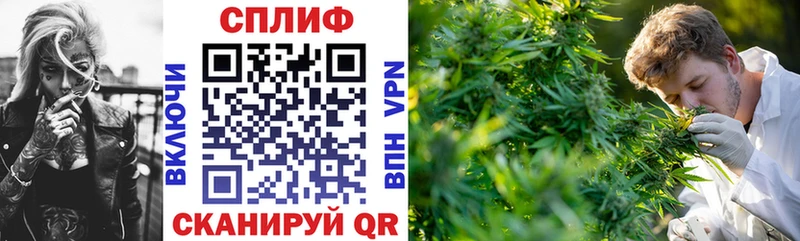 МАРИХУАНА Amnesia купить наркотики сайты Приморск